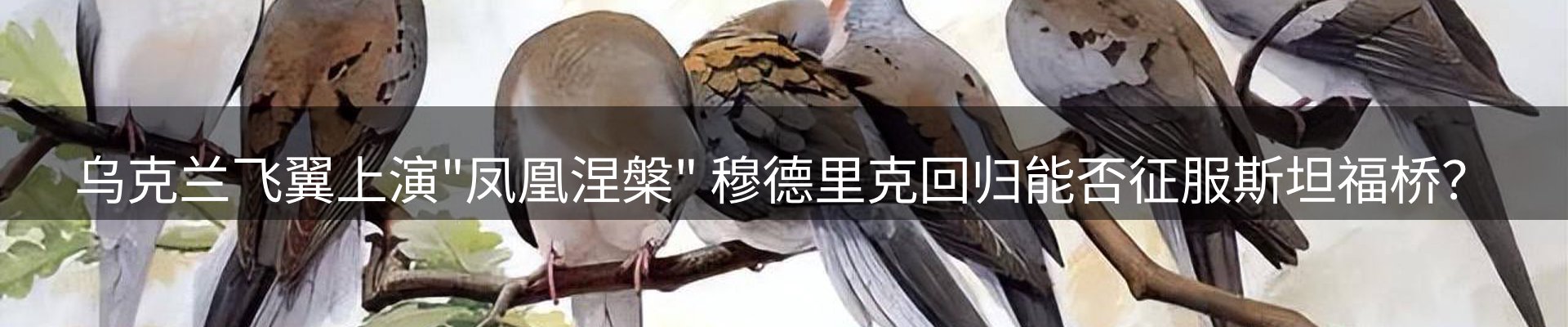 平台资讯
