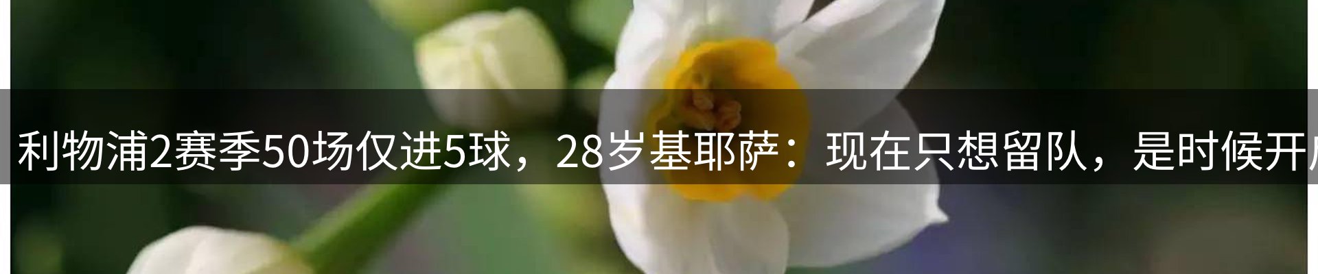 平台资讯