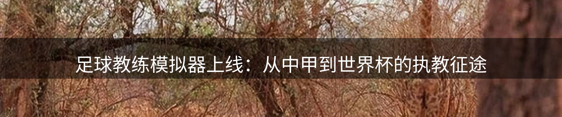 平台资讯